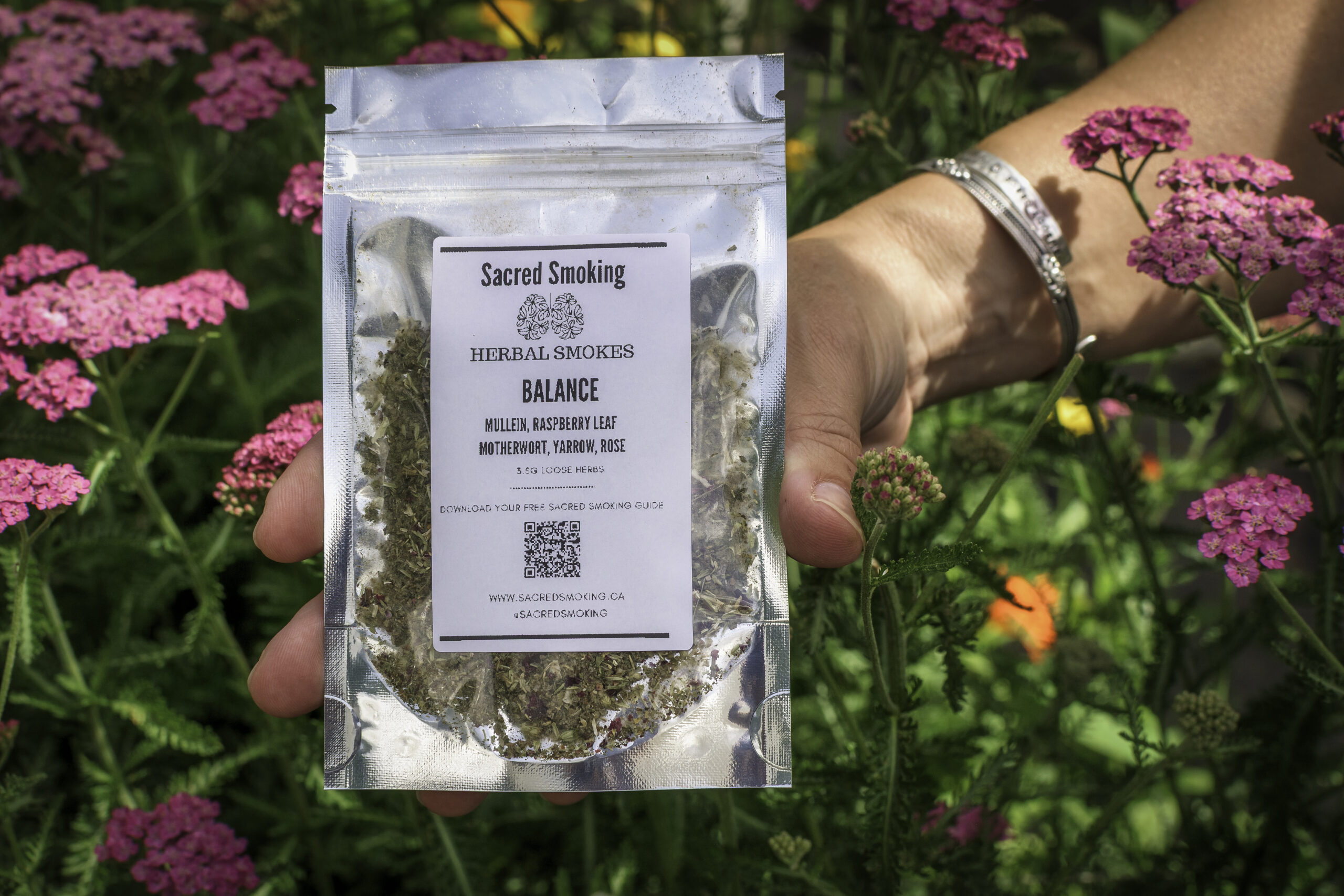 hand holding a pouch of loose herbs in a bush of yarrow