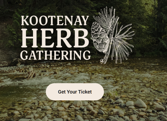 kootenay herb gathering logo on a flowing river bed