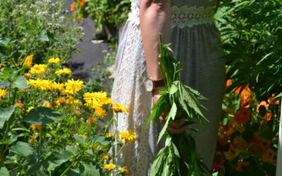 Beyond the Buzz: The Wellness Potential of Cannabis