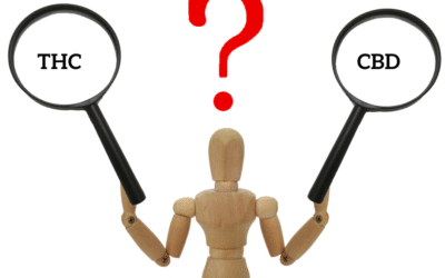 THC or CBD, Which One is Better?