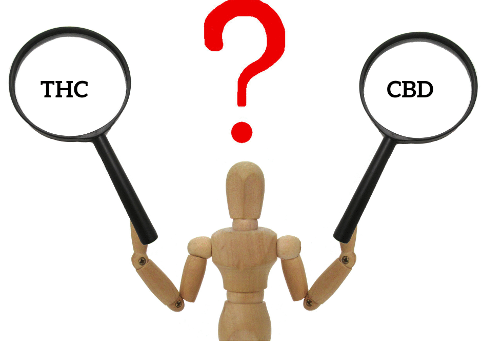 THC or CBD, Which One is Better?