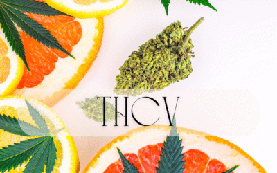 THCV: The Activating Cannabinoid for Energy, Metabolism & Balance