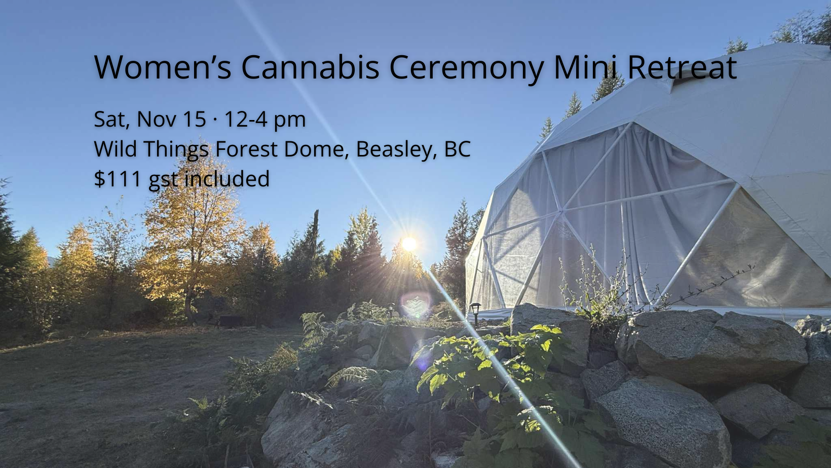 white dome in the forest